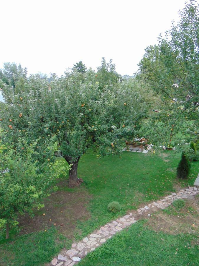 Вилла Apple House Цетине Экстерьер фото