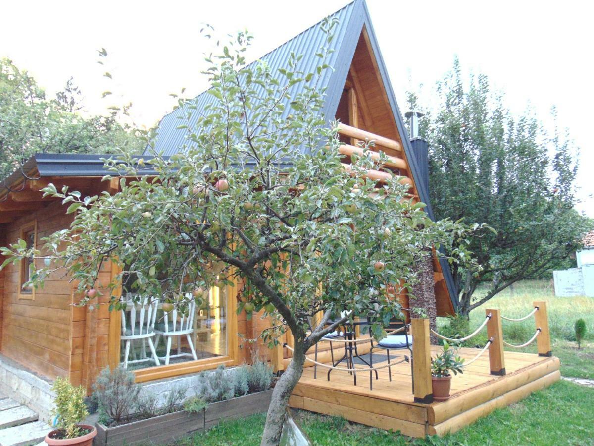 Вилла Apple House Цетине Экстерьер фото
